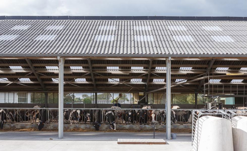 Comment réguler l'humidité dans les bâtiments agricoles ?