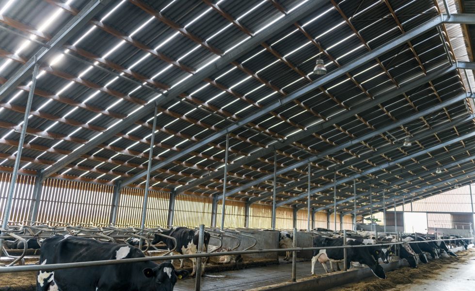 Comment réguler l'humidité dans les bâtiments agricoles ?