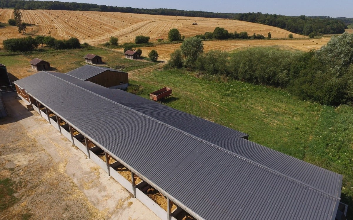 Visite en image de la porcherie de la ferme du logis en Normandie !